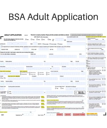 Helps run Committee. . Bsa adult application position codes